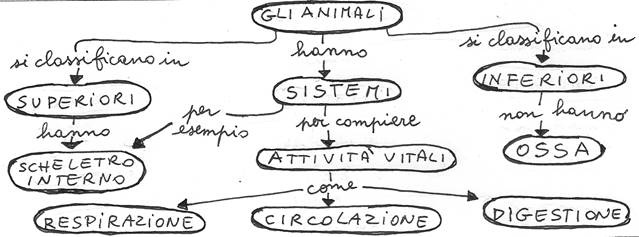 mappe concettuali