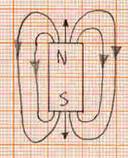 Linee di forza di un magnete